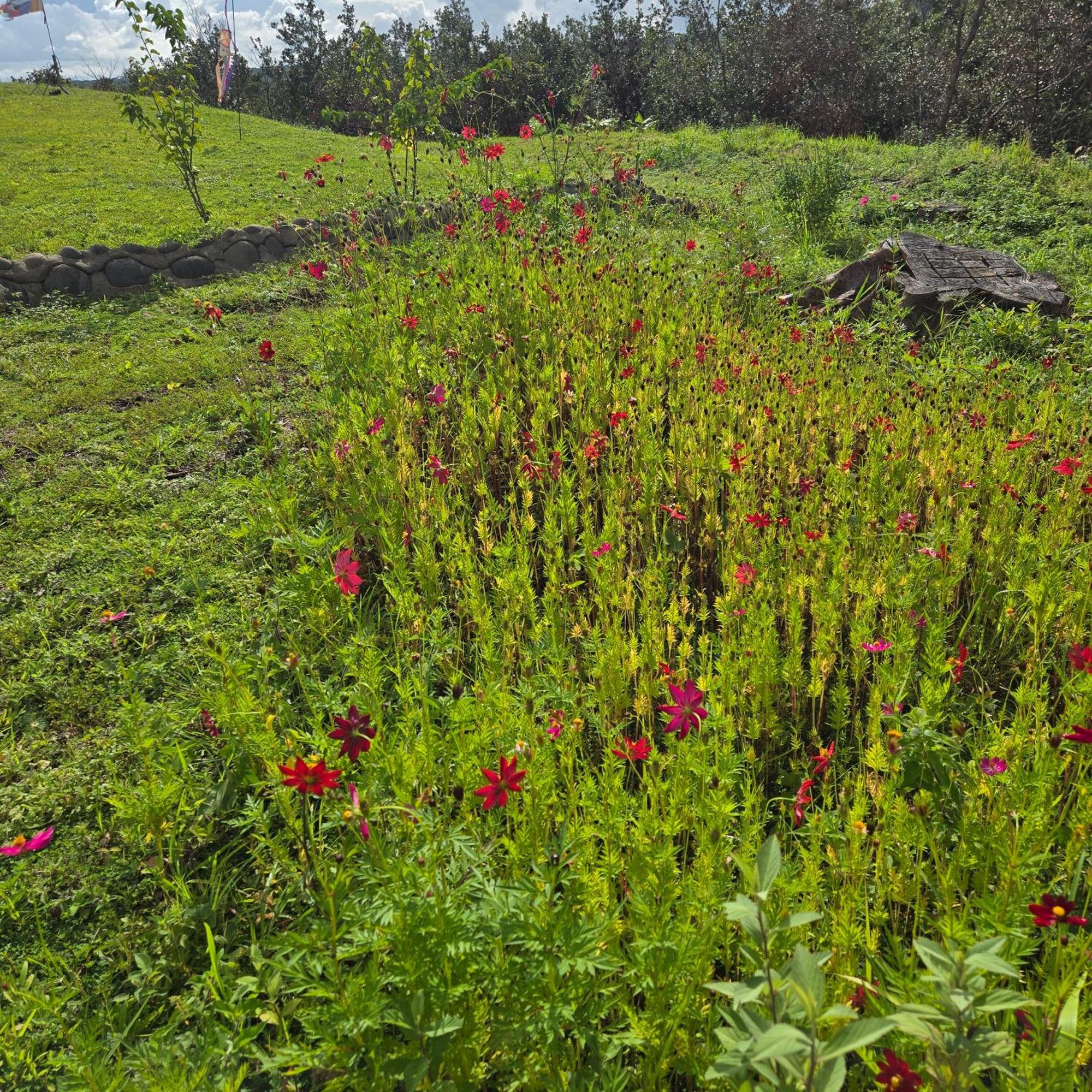 Hacienda En Los Volcanes Guayabo  ภายนอก รูปภาพ