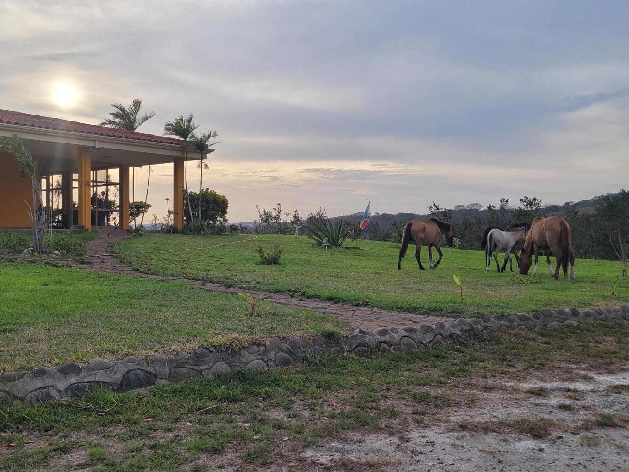 Hacienda En Los Volcanes Guayabo  ภายนอก รูปภาพ
