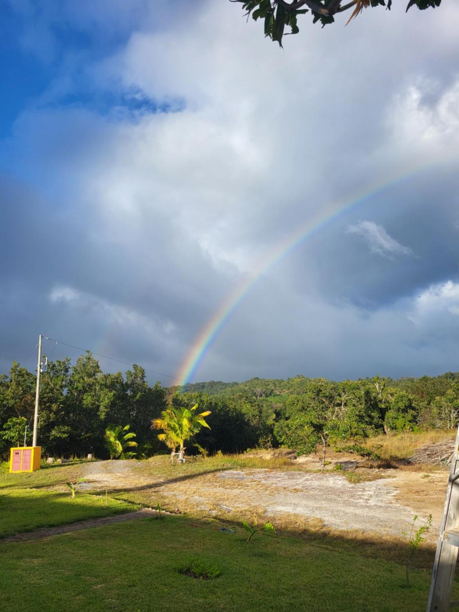 Hacienda En Los Volcanes Guayabo  ภายนอก รูปภาพ