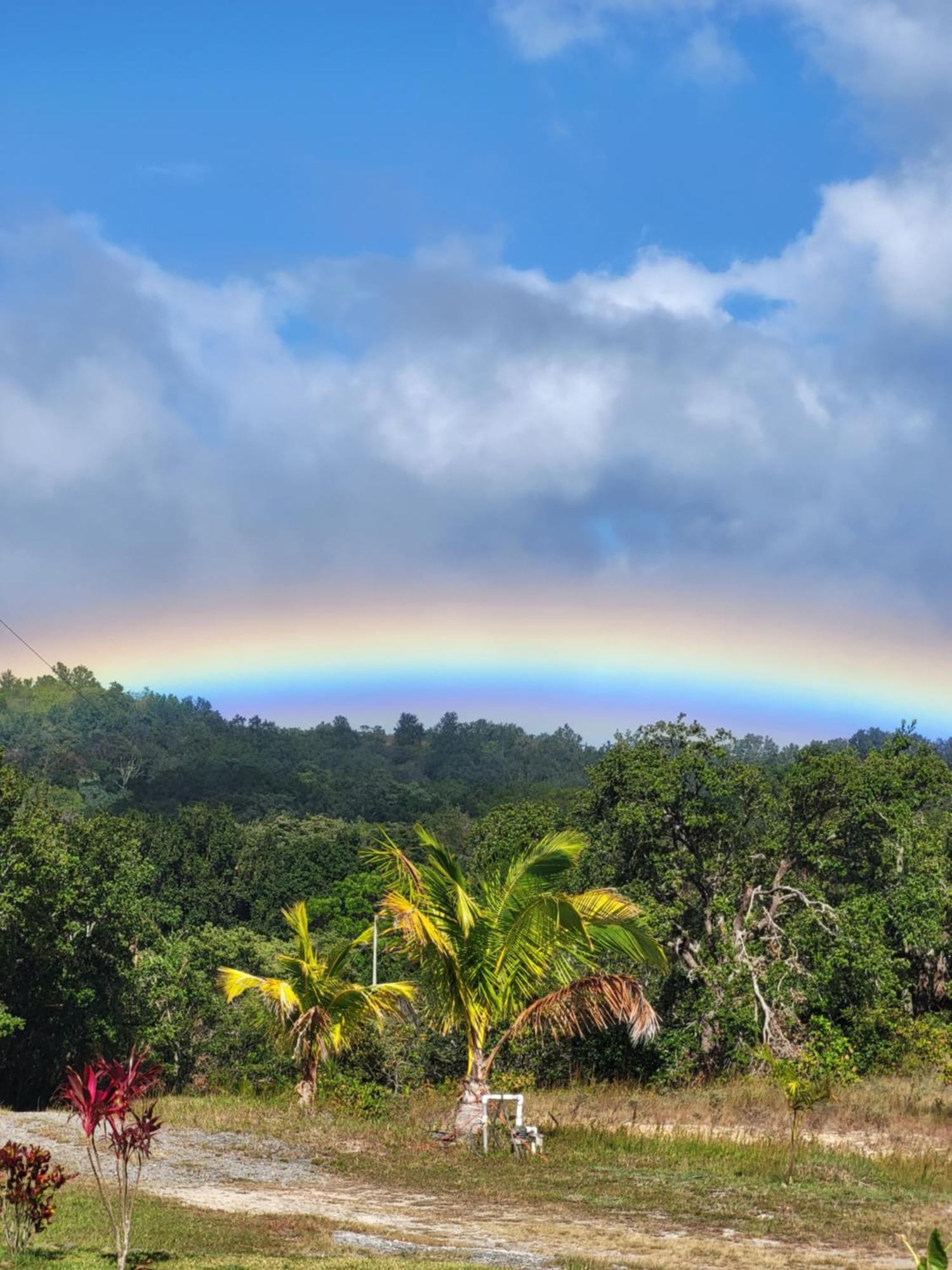 Hacienda En Los Volcanes Guayabo  ภายนอก รูปภาพ