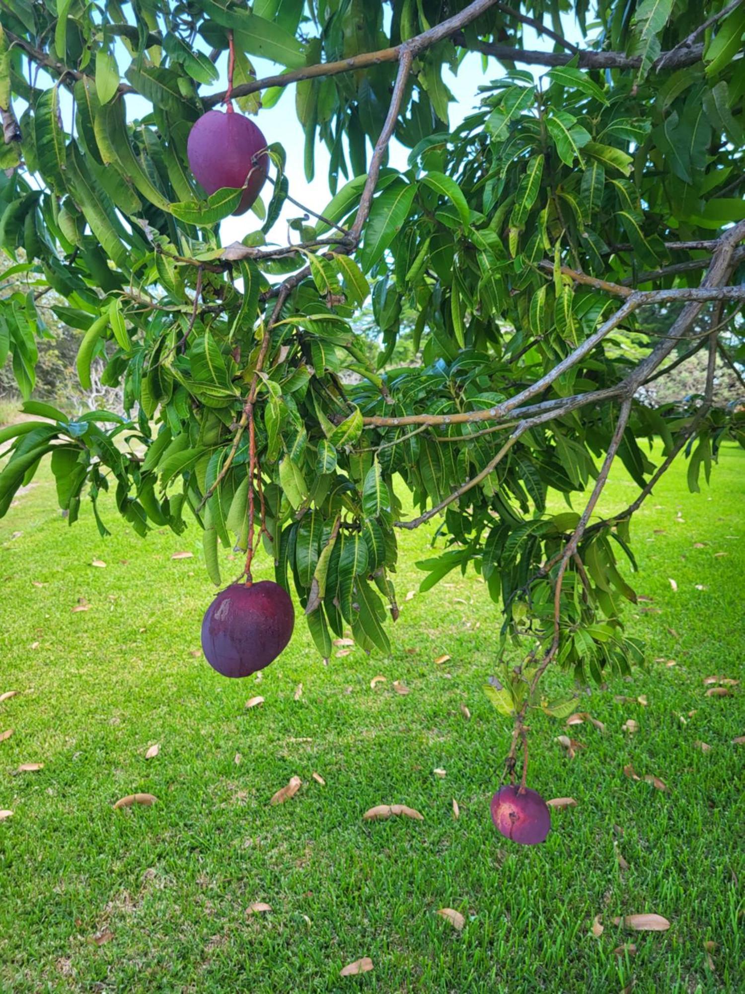 Hacienda En Los Volcanes Guayabo  ภายนอก รูปภาพ