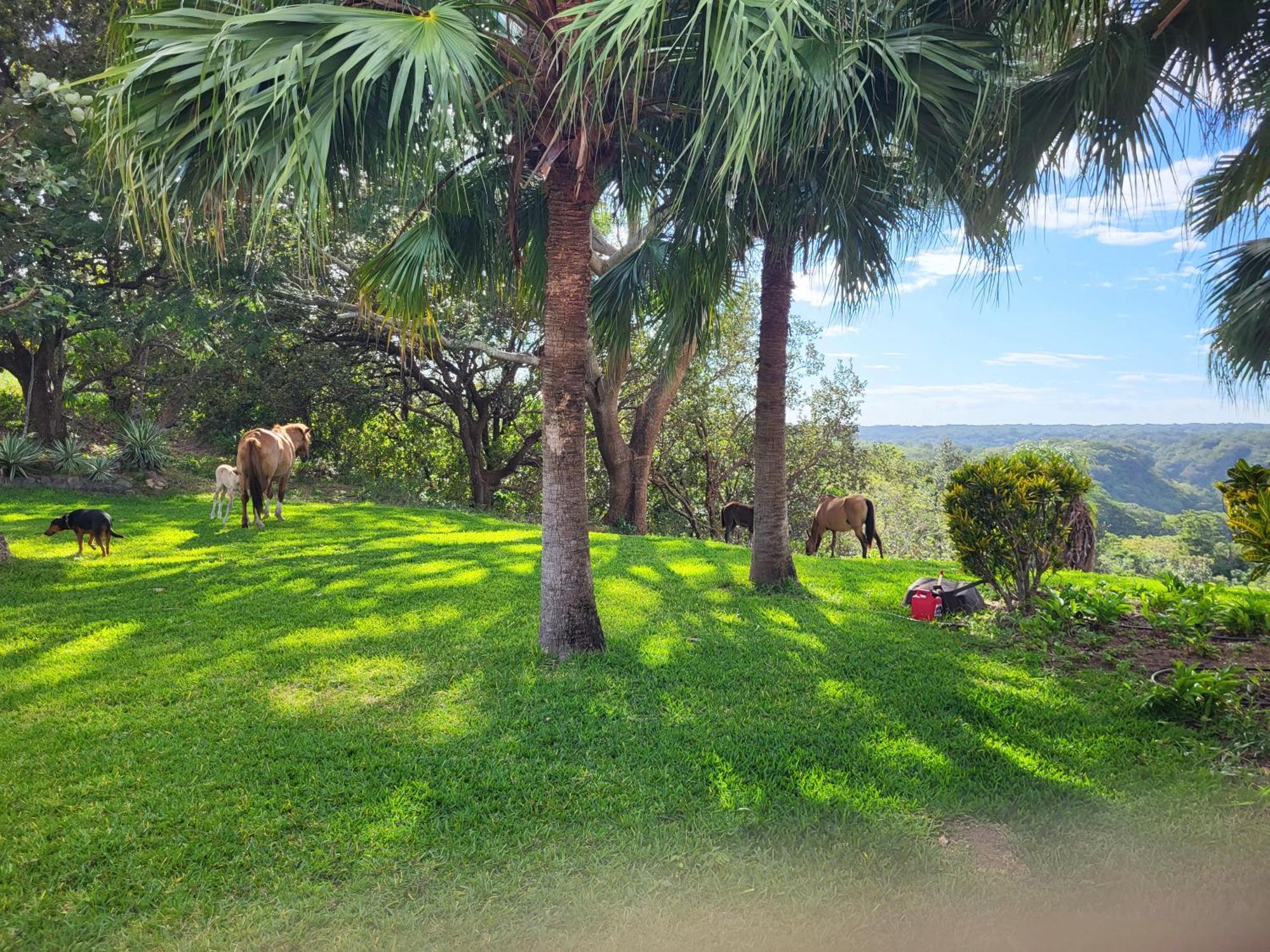 Hacienda En Los Volcanes Guayabo  ภายนอก รูปภาพ